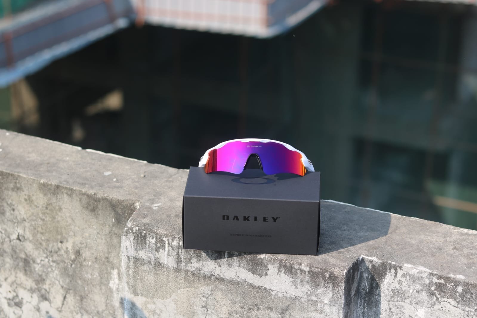 WhatsApp Image 2025-08-07 at 8.12.00 PM Oakley Rader EV path Single lens - Image 1