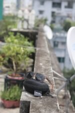 Nike Fashion and sports Polarize Sunglass - Image 3