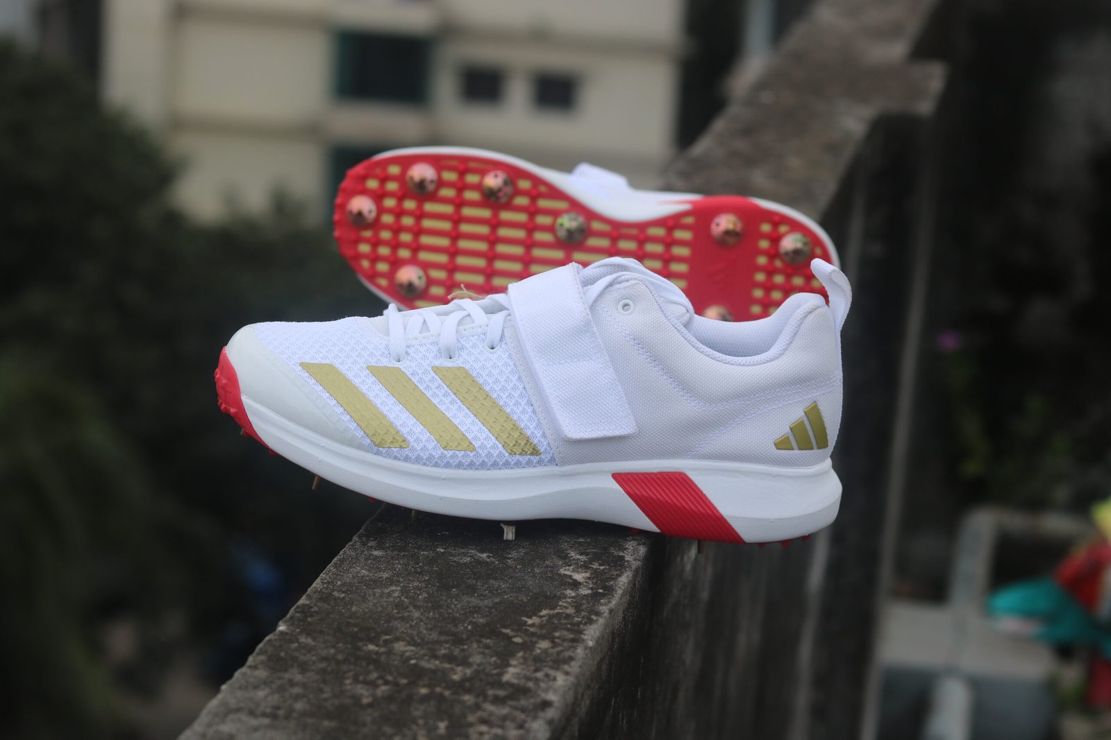 IMG_3526 Adipower Vector 20 Shoes - Image 1